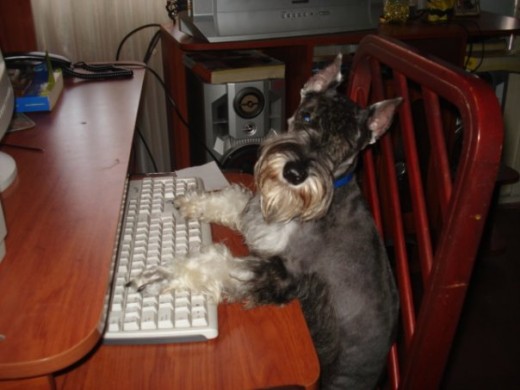 en esta fotico estoy chateando con una perrita hermosaaaa.
chaooo en esta fotico estoy chateando con una perrita hermosaaaa.
chaooo